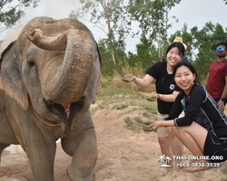 Elephant Jungle Sanctuary excursion in Pattaya Thailand - photo 335