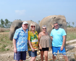 Elephant Jungle Sanctuary excursion in Pattaya Thailand - photo 536