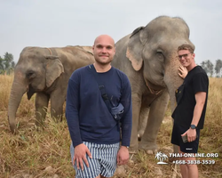 Elephant Jungle Sanctuary excursion in Pattaya Thailand - photo 864