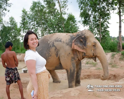 Elephant Jungle Sanctuary excursion in Pattaya Thailand - photo 423