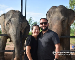 Elephant Jungle Sanctuary excursion in Pattaya Thailand - photo 984