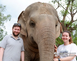 Elephant Jungle Sanctuary excursion in Pattaya Thailand - photo 579