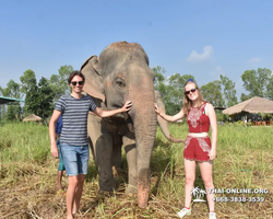 Elephant Jungle Sanctuary excursion in Pattaya Thailand - photo 207