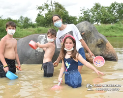 Elephant Jungle Sanctuary excursion in Pattaya Thailand - photo 643