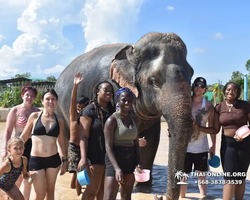 Elephant Jungle Sanctuary excursion in Pattaya Thailand - photo 629