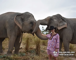 Elephant Jungle Sanctuary excursion in Pattaya Thailand - photo 745