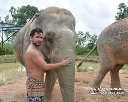 Elephant Jungle Sanctuary excursion in Pattaya Thailand - photo 311