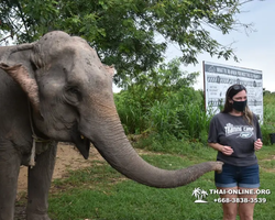 Elephant Jungle Sanctuary excursion in Pattaya Thailand - photo 181