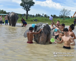 Elephant Jungle Sanctuary excursion in Pattaya Thailand - photo 724