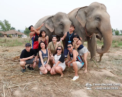 Elephant Jungle Sanctuary excursion in Pattaya Thailand - photo 145