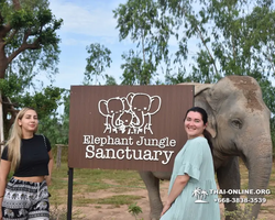 Elephant Jungle Sanctuary excursion in Pattaya Thailand - photo 236