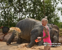 Elephant Jungle Sanctuary excursion in Pattaya Thailand - photo 13