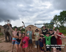 Elephant Jungle Sanctuary excursion in Pattaya Thailand - photo 927
