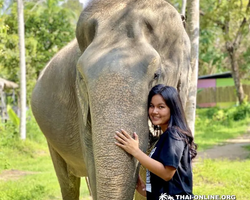 Elephant Jungle Sanctuary excursion in Pattaya Thailand - photo 414