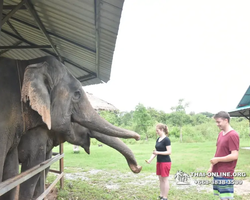 Elephant Jungle Sanctuary excursion in Pattaya Thailand - photo 1046