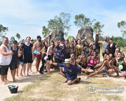 Elephant Jungle Sanctuary excursion in Pattaya Thailand - photo 297