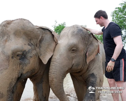 Elephant Jungle Sanctuary excursion in Pattaya Thailand - photo 800