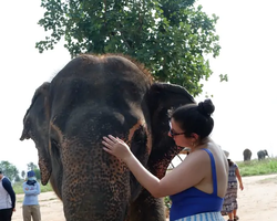 Elephant Jungle Sanctuary excursion in Pattaya Thailand - photo 736