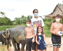 Elephant Jungle Sanctuary excursion in Pattaya Thailand - photo 961