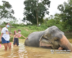 Elephant Jungle Sanctuary excursion in Pattaya Thailand - photo 195