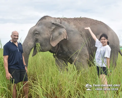 Elephant Jungle Sanctuary excursion in Pattaya Thailand - photo 558