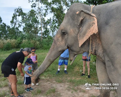 Elephant Jungle Sanctuary excursion in Pattaya Thailand - photo 197