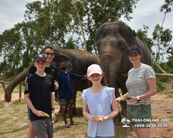 Elephant Jungle Sanctuary excursion in Pattaya Thailand - photo 284