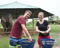 Elephant Jungle Sanctuary excursion in Pattaya Thailand - photo 731