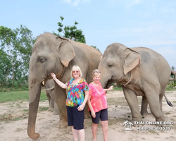 Elephant Jungle Sanctuary excursion in Pattaya Thailand - photo 679