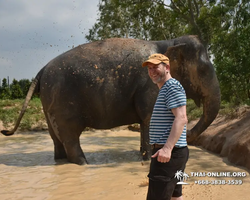 Elephant Jungle Sanctuary excursion in Pattaya Thailand - photo 587