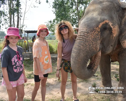 Elephant Jungle Sanctuary excursion in Pattaya Thailand - photo 154