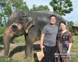 Elephant Jungle Sanctuary excursion in Pattaya Thailand - photo 49