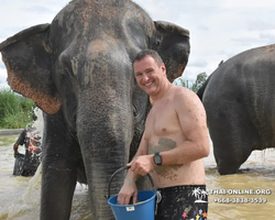 Elephant Jungle Sanctuary excursion in Pattaya Thailand - photo 769