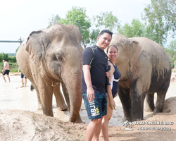 Elephant Jungle Sanctuary excursion in Pattaya Thailand - photo 394