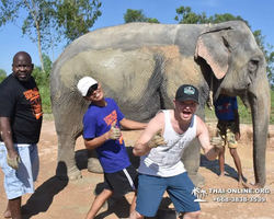 Elephant Jungle Sanctuary excursion in Pattaya Thailand - photo 289