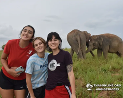 Elephant Jungle Sanctuary excursion in Pattaya Thailand - photo 1103