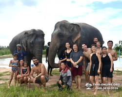 Elephant Jungle Sanctuary excursion in Pattaya Thailand - photo 755