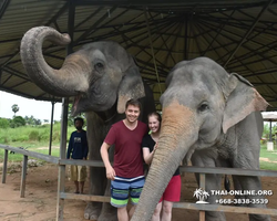 Elephant Jungle Sanctuary excursion in Pattaya Thailand - photo 799