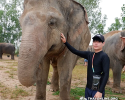 Elephant Jungle Sanctuary excursion in Pattaya Thailand - photo 6