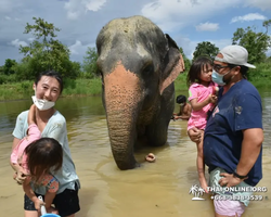 Elephant Jungle Sanctuary excursion in Pattaya Thailand - photo 847