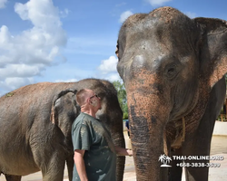 Elephant Jungle Sanctuary excursion in Pattaya Thailand - photo 562