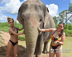 Elephant Jungle Sanctuary excursion in Pattaya Thailand - photo 290