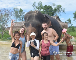 Elephant Jungle Sanctuary excursion in Pattaya Thailand - photo 440