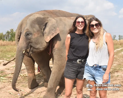 Elephant Jungle Sanctuary excursion in Pattaya Thailand - photo 592