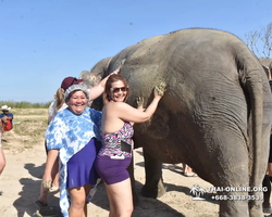 Elephant Jungle Sanctuary excursion in Pattaya Thailand - photo 682