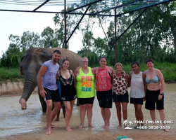 Elephant Jungle Sanctuary excursion in Pattaya Thailand - photo 91
