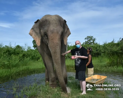 Elephant Jungle Sanctuary excursion in Pattaya Thailand - photo 946