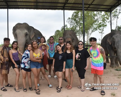 Elephant Jungle Sanctuary excursion in Pattaya Thailand - photo 594