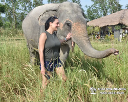 Elephant Jungle Sanctuary excursion in Pattaya Thailand - photo 5