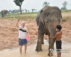 Elephant Jungle Sanctuary excursion in Pattaya Thailand - photo 826